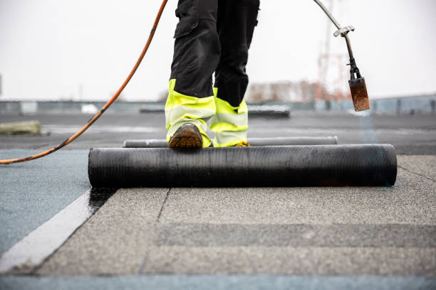 Best Roof Replacement  in Radford, VA