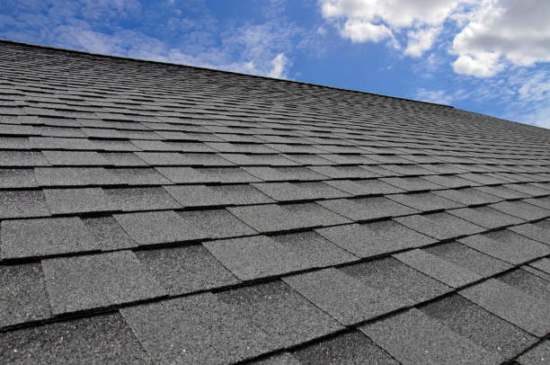 Best Roof Coating and Sealing  in Radford, VA